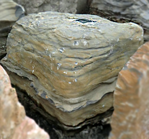 Photo of Bubble Rock 28 Metamorphic (Large) - Marquis Gardens