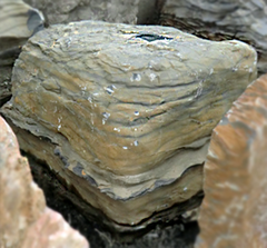 Photo of Bubble Rock 28 Metamorphic (Large) - Marquis Gardens