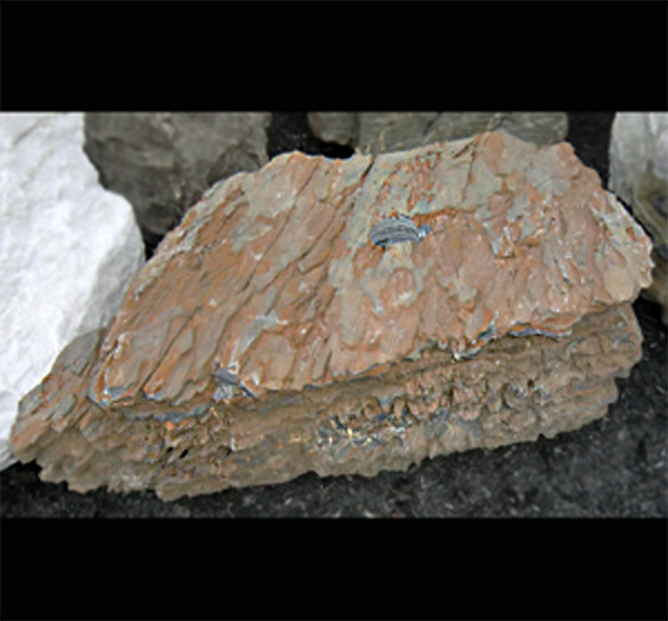 Photo of Bubble Rock 29 Metamorphic (Large) - Marquis Gardens