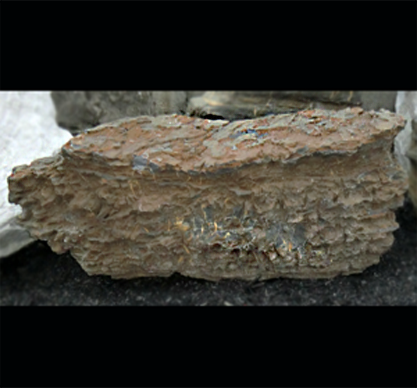 Photo of Bubble Rock 29 Metamorphic (Large) - Marquis Gardens