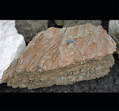 Photo of Bubble Rock 29 Metamorphic (Large) - Marquis Gardens