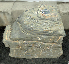 Photo of Bubble Rock 35 Metamorphic (Large) - Marquis Gardens
