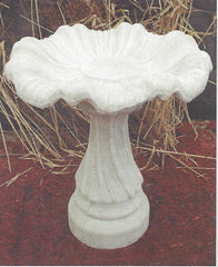 Photo of Birdbath - Swirl Base - Shallow Tulip Top - Marquis Gardens
