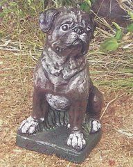 Photo of Boxer 16" - Marquis Gardens