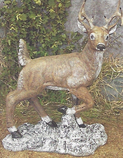 Photo of Buck on Rocks - Marquis Gardens