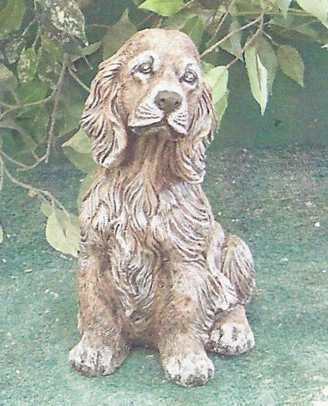 Photo of Cocker Spaniel - Marquis Gardens