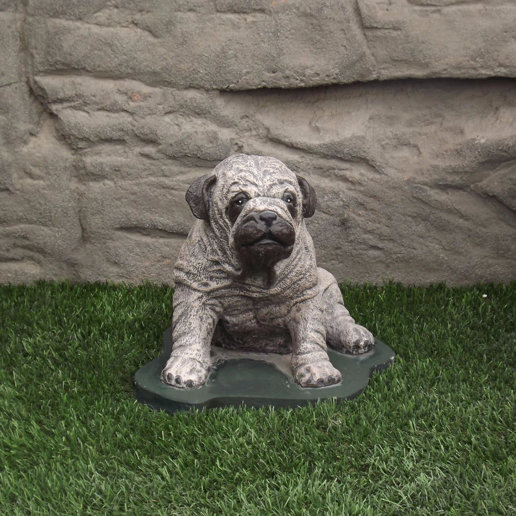 Photo of Pug Dog - Marquis Gardens