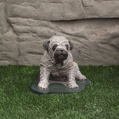 Photo of Pug Dog - Marquis Gardens