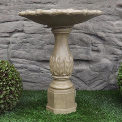 Photo of Birdbath - Leaf Base - Shallow Tulip Top - Marquis Gardens