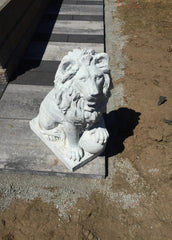 Photo of Lion Right / Left Paw on Ball - Marquis Gardens