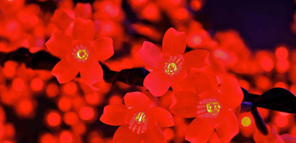 Photo of LED Cherry Tree 728 - Marquis Gardens