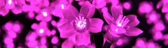 Photo of LED Cherry Tree 728 - Marquis Gardens