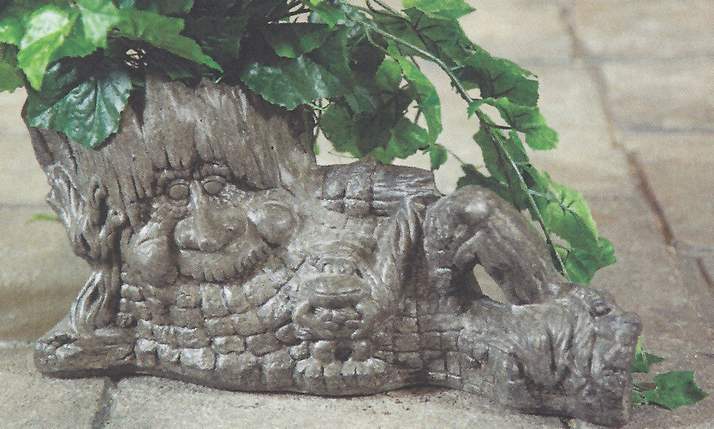 Photo of Laying Face Pot - Marquis Gardens