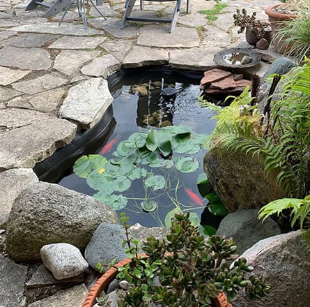 Photo of Liquid Rubber NeoPond Sealant - Marquis Gardens