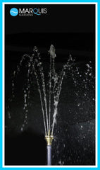 Photo of Lotus 1-1/2" - Marquis Gardens
