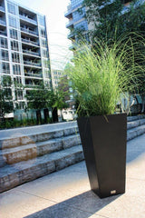 Photo of Veradek Midland