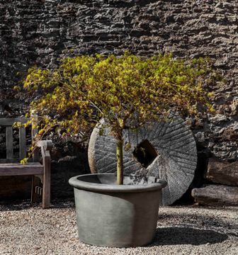 Photo of Campania Palo Alto Planters - Marquis Gardens