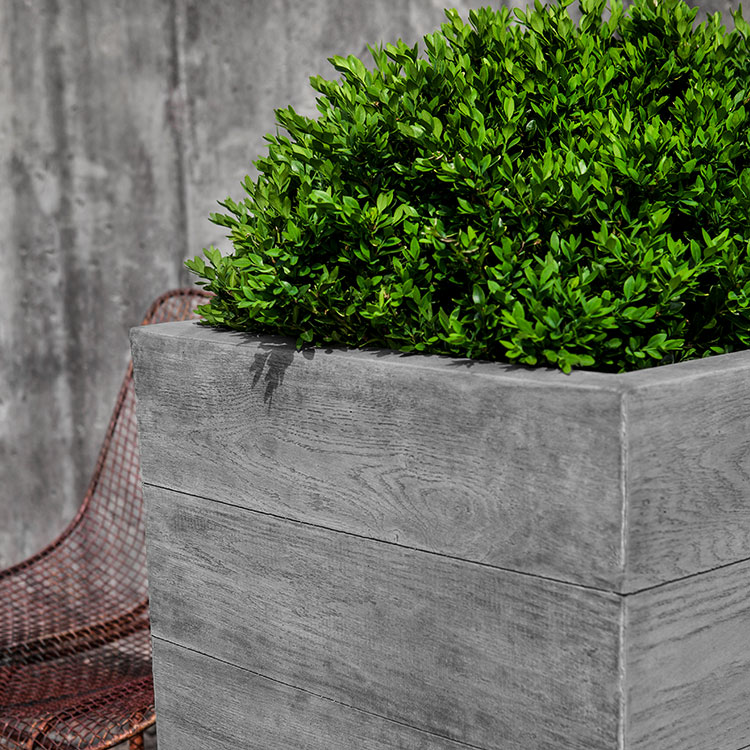 Photo of Campania Chenes Brut Planters - Marquis Gardens