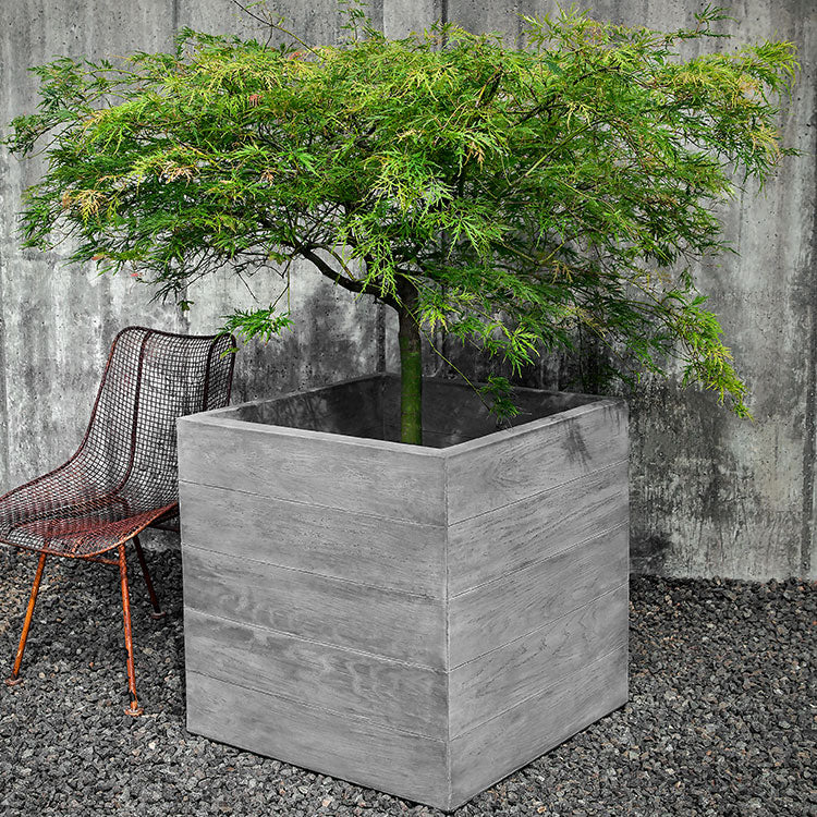 Photo of Campania Chenes Brut Planters - Marquis Gardens