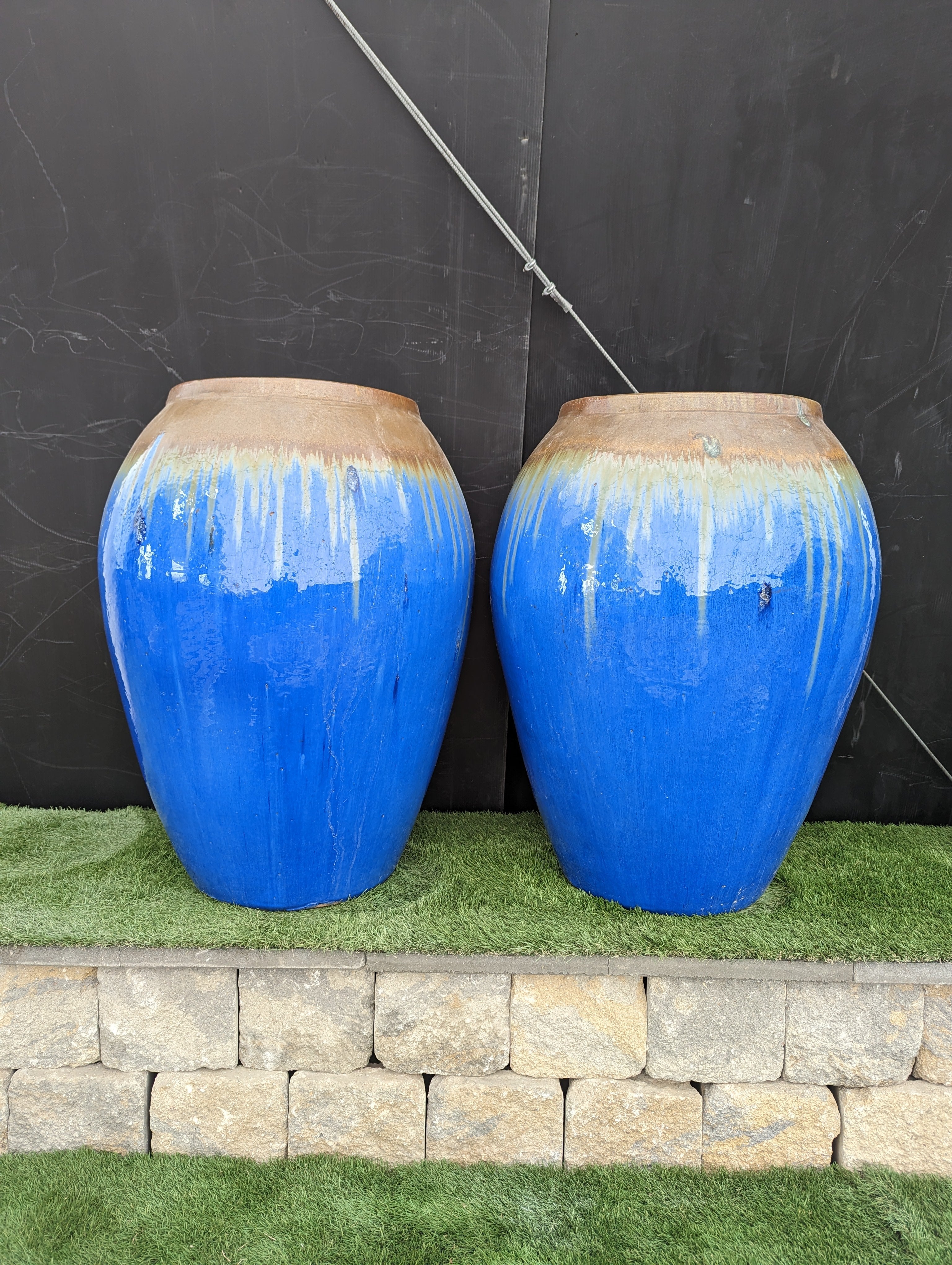 Photo of Campania Blue Jug - Marquis Gardens