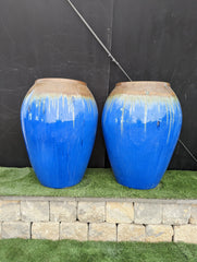 Photo of Campania Blue Jug - Marquis Gardens