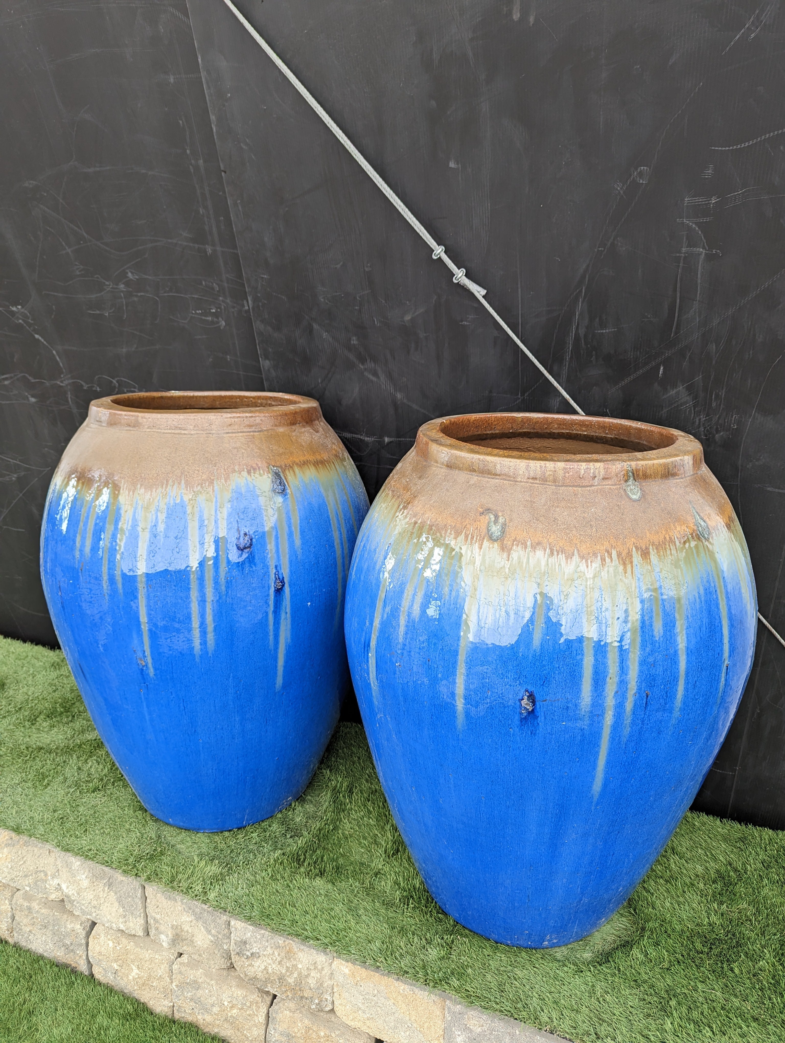 Photo of Campania Blue Jug - Marquis Gardens