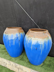 Photo of Campania Blue Jug - Marquis Gardens