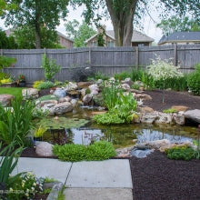 Photo of Aquascape Medium Pond Kit 11' x 16'  - Marquis Gardens