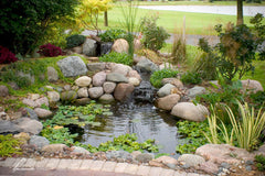 Photo of Aquascape Small Pond Kit 8' x 11'  - Marquis Gardens