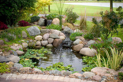 Photo of Aquascape Deluxe Pond Kit  - Marquis Gardens