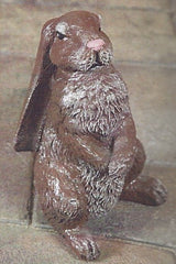 Photo of Rabbit Large Floppy Ears - Marquis Gardens