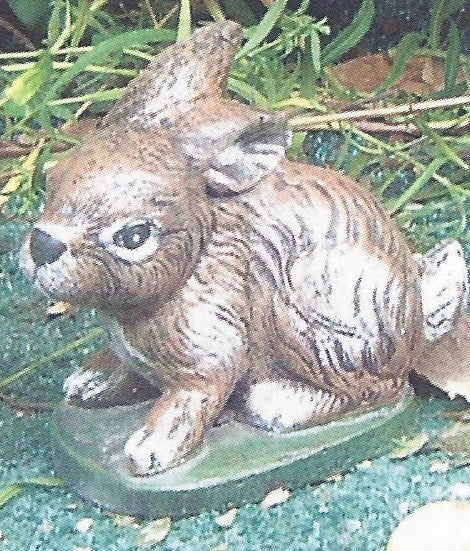 Photo of Rabbit - Small Sitting - Marquis Gardens