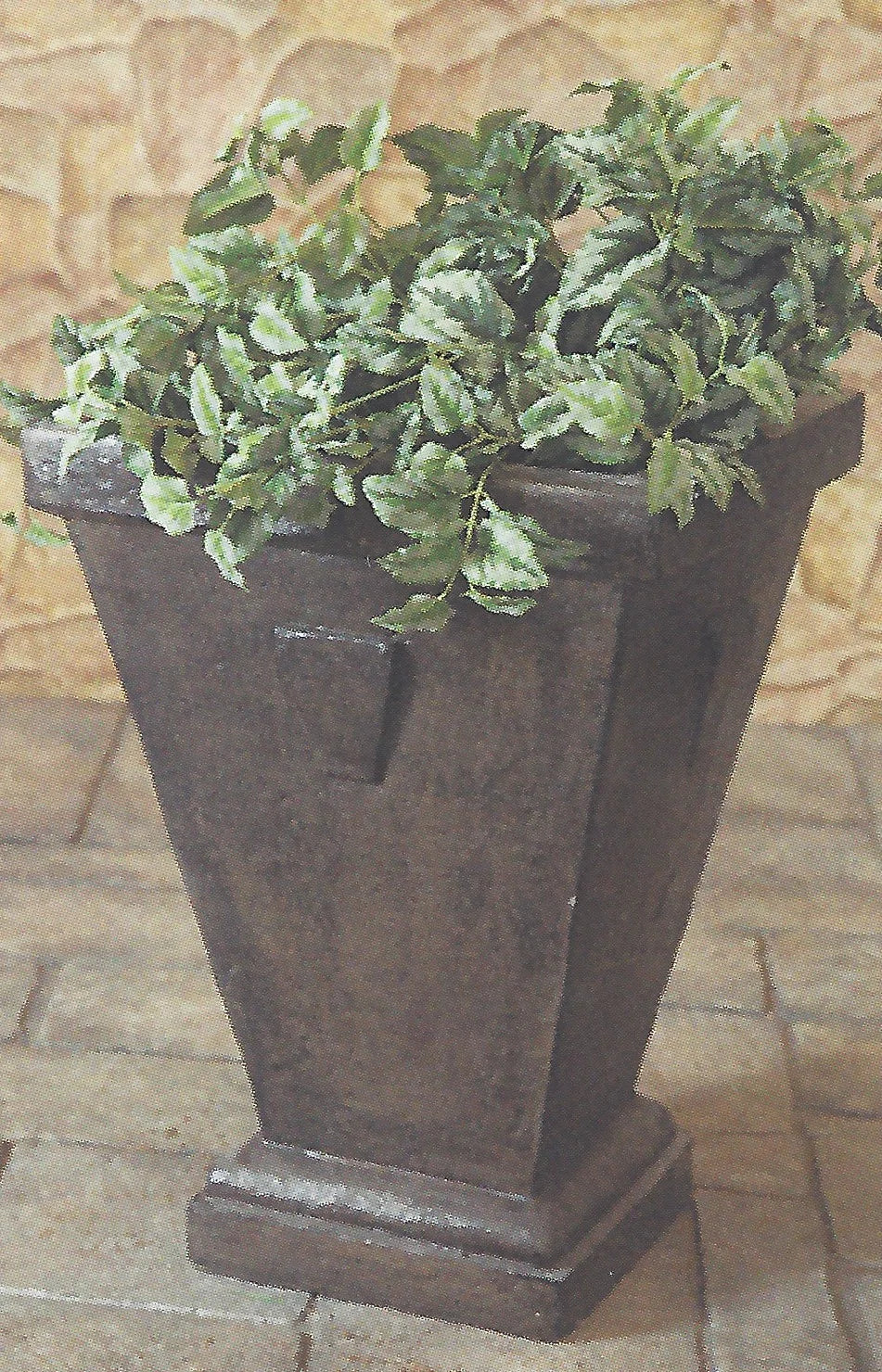 Photo of Square Pot - Marquis Gardens