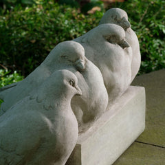 Photo of Campania Quartet - Marquis Gardens