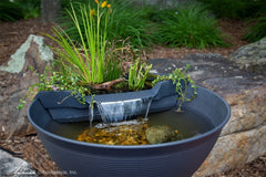 Photo of Aquascape AquaGarden Mini Pond Kit  - Marquis Gardens