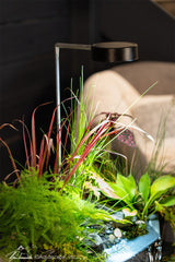 Photo of Aquascape AquaGarden Plant Light  - Marquis Gardens