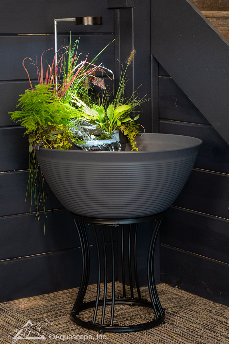 Photo of Aquascape Stand  - Marquis Gardens