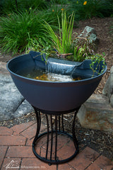Photo of Aquascape Stand  - Marquis Gardens