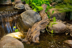 Photo of Aquascape Faux Driftwood  - Marquis Gardens