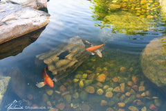 Photo of Aquascape Faux Log Fish Cave  - Marquis Gardens