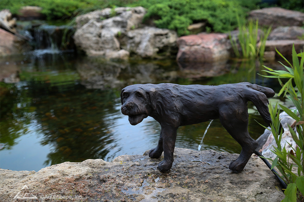 Photo of Aquascape Naughty Dog Spitter  - Marquis Gardens