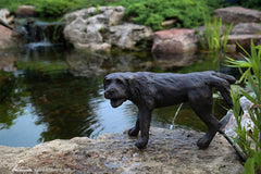Photo of Aquascape Naughty Dog Spitter  - Marquis Gardens