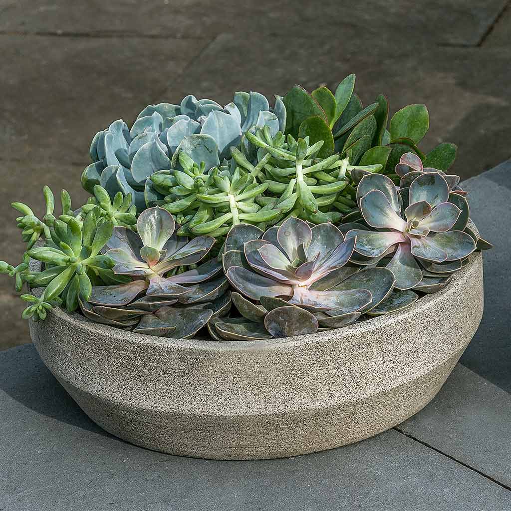 Photo of Campania Beveled Terrace Bowl - Marquis Gardens