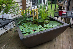Photo of Aquascape Square Textured Gray Slate Patio Ponds  - Marquis Gardens
