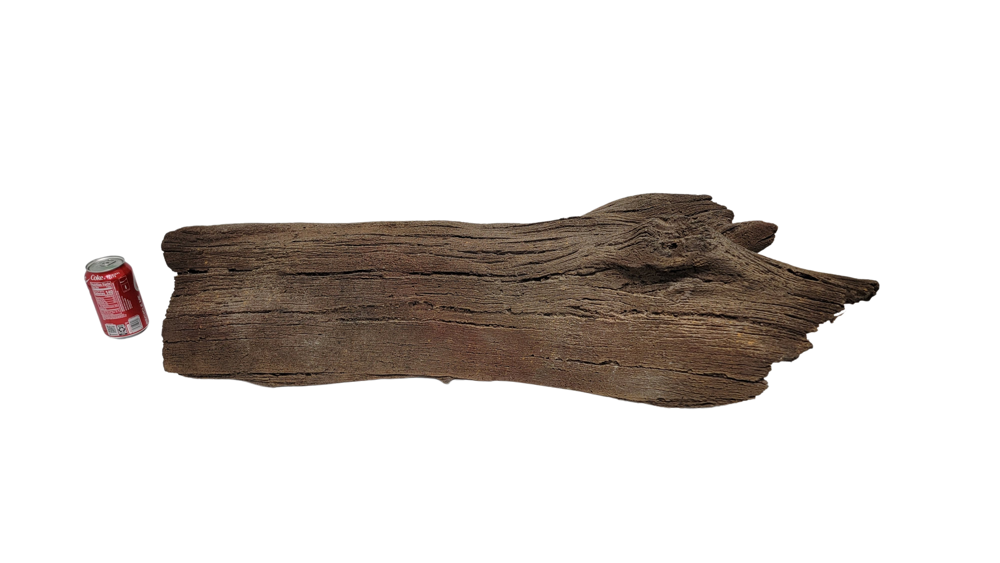 Photo of Sunken Log 001 - Marquis Gardens