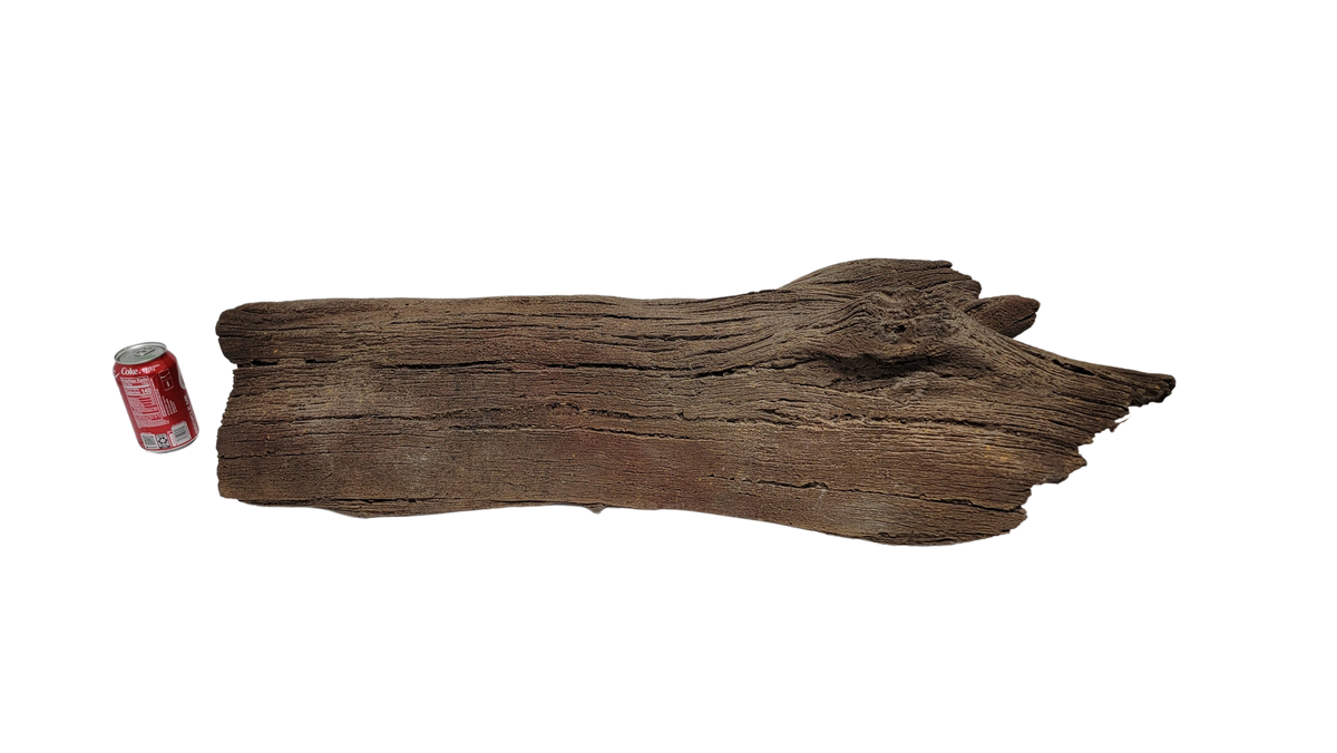 Photo of Sunken Log 001 - Marquis Gardens