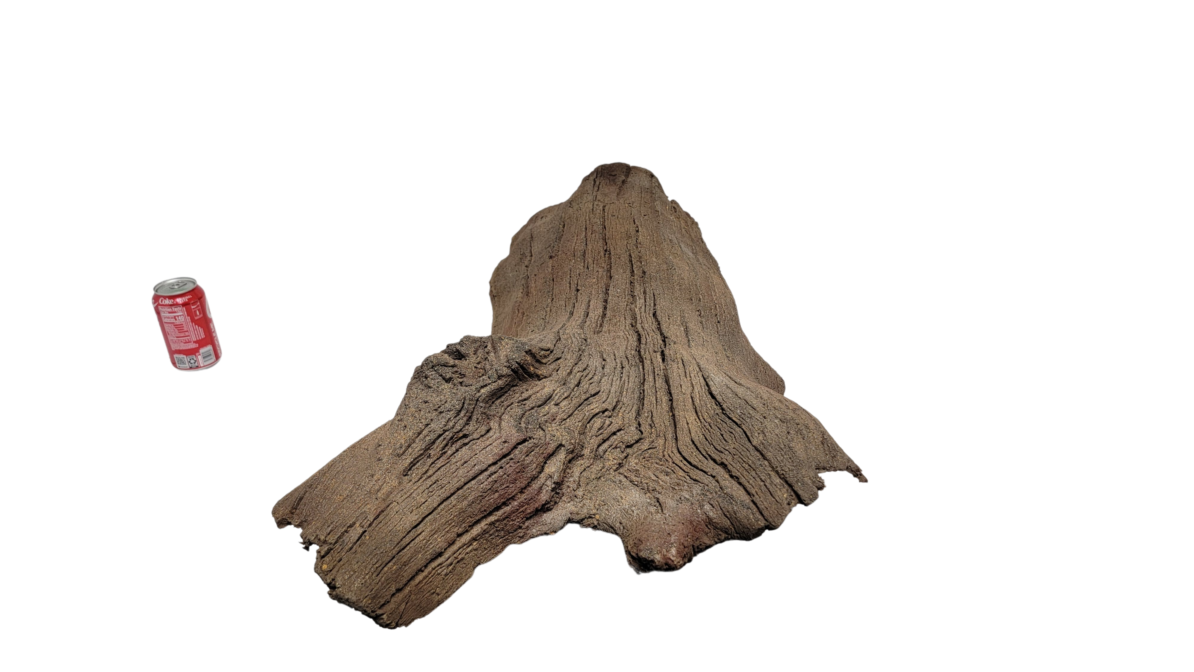 Photo of Sunken Log 001 - Marquis Gardens