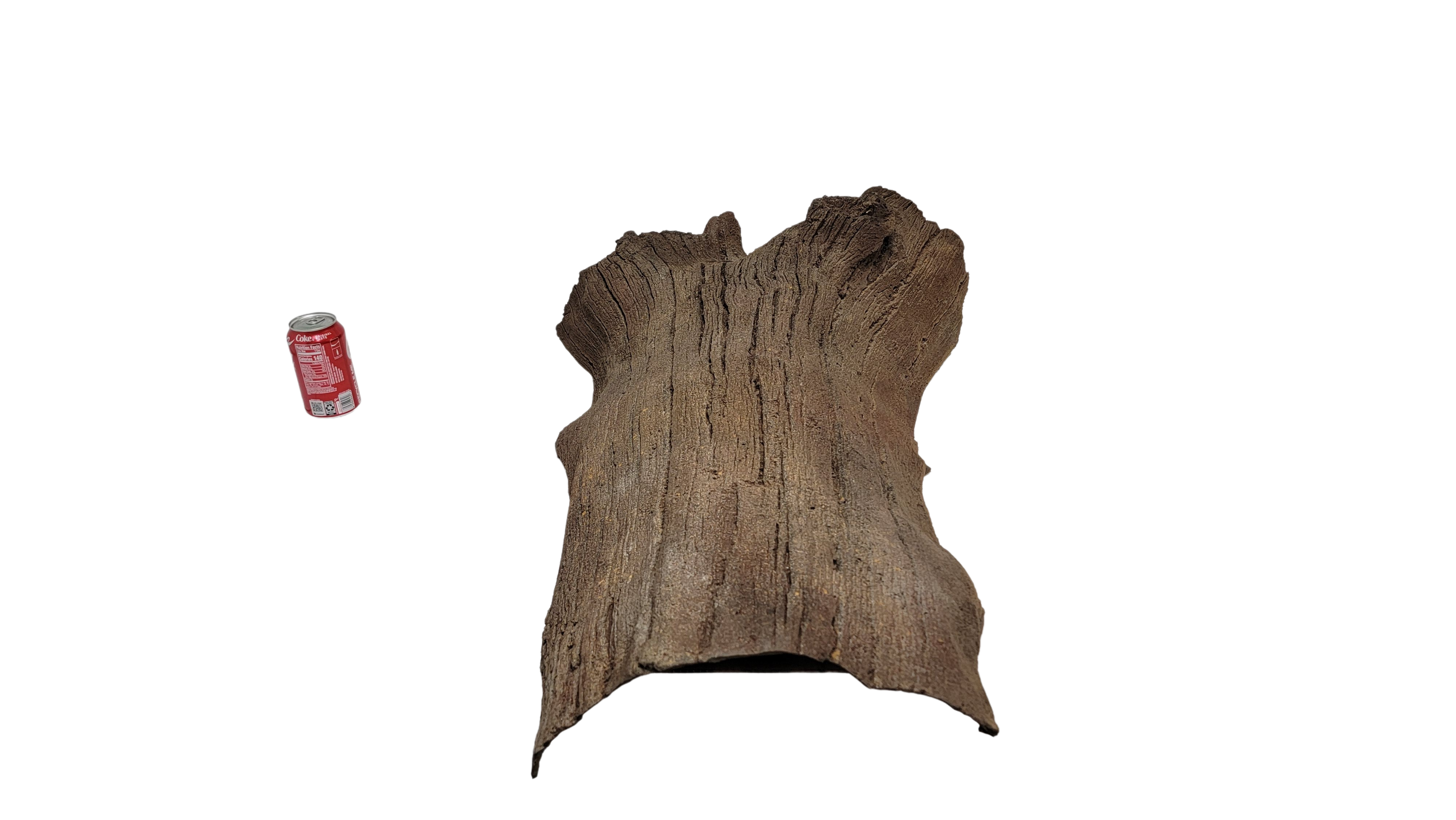 Photo of Sunken Log 001 - Marquis Gardens