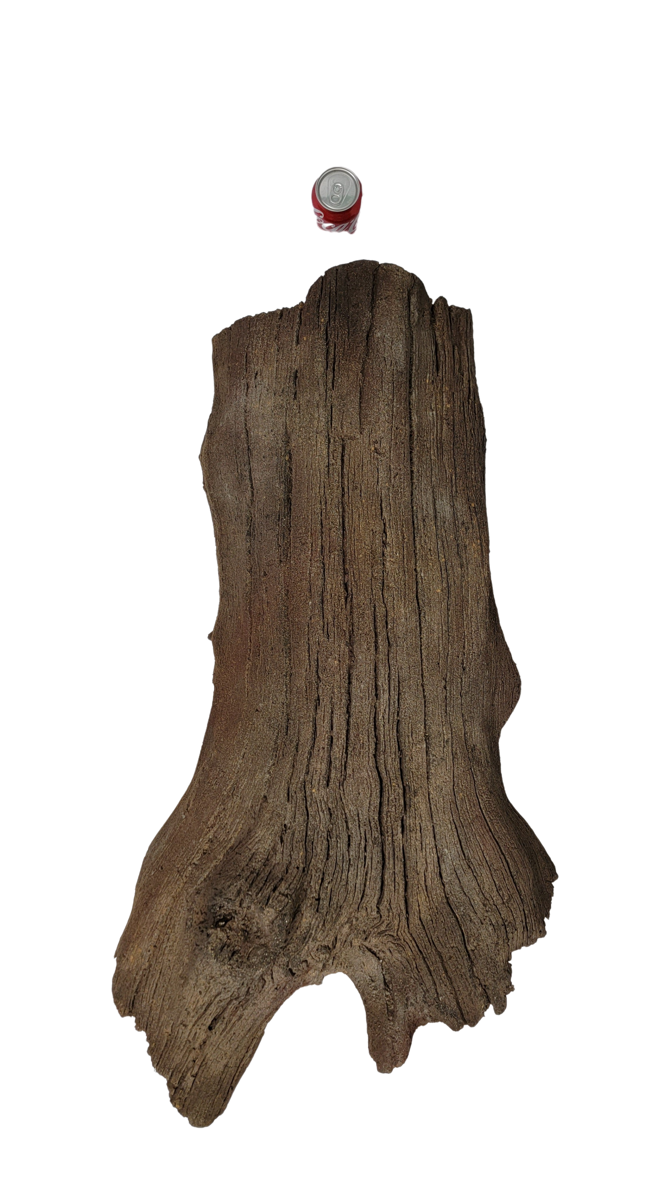 Photo of Sunken Log 001 - Marquis Gardens