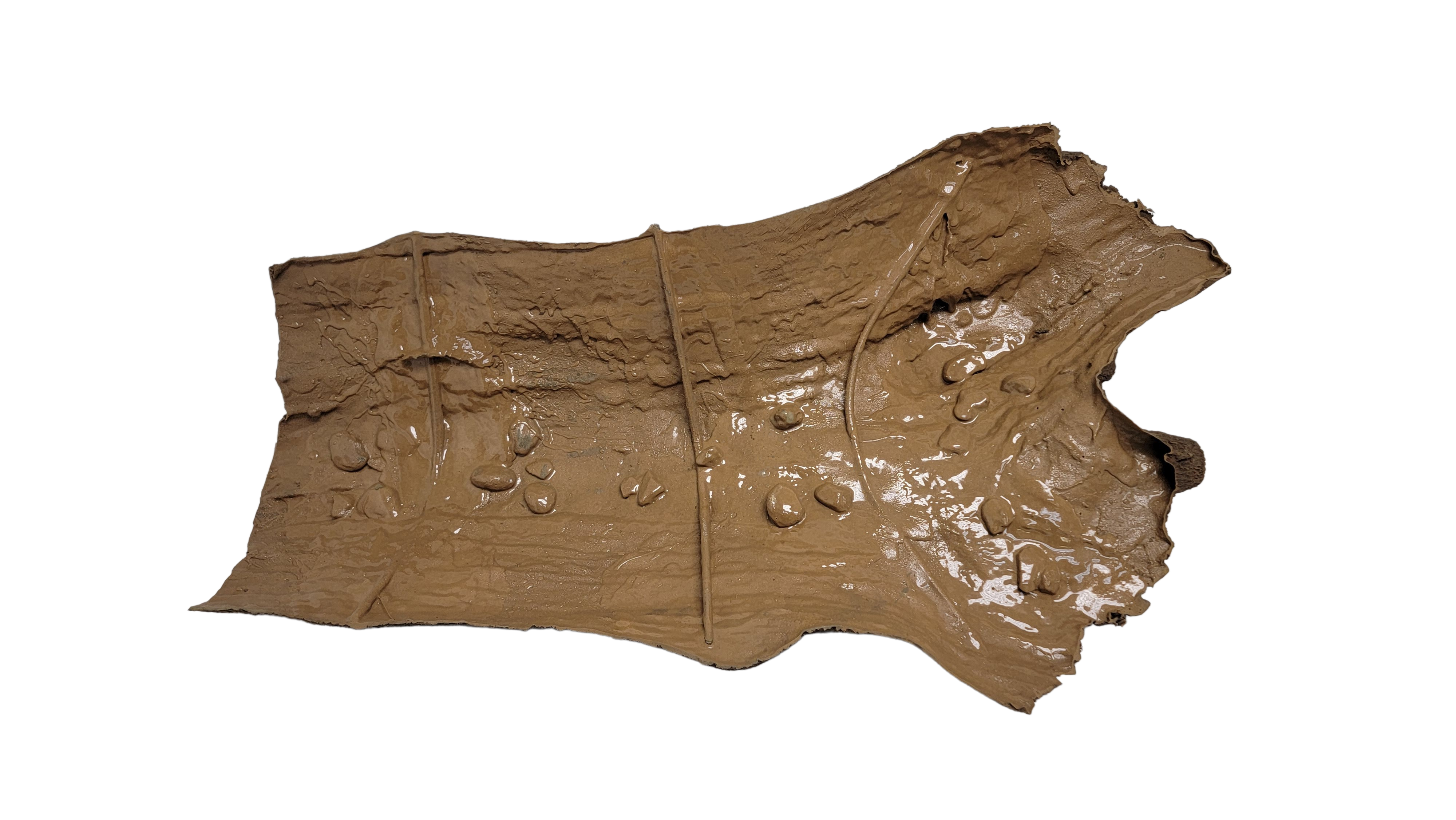 Photo of Sunken Log 001 - Marquis Gardens
